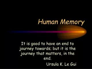 human memory