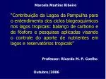 Marcela Martins Ribeiro - slide 1
