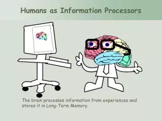 The brain processes information from experiences and stores it in Long-Term Memory.