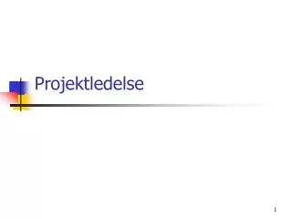 projektledelse