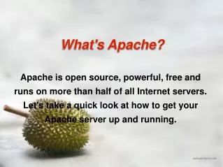 What's Apache?