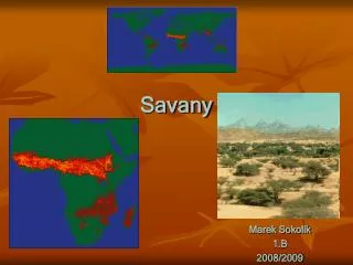 savany