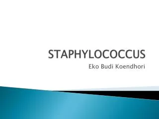 STAPHYLOCOCCUS