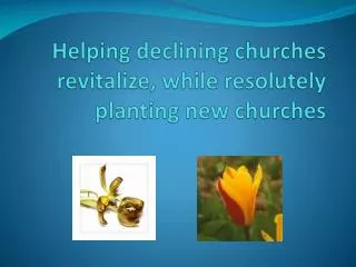 Helping declining churches revitalize , while resolutely planting new churches