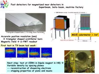 Fast detectors for magnetized near detectors in