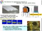 Fast detectors for magnetized near detectors in