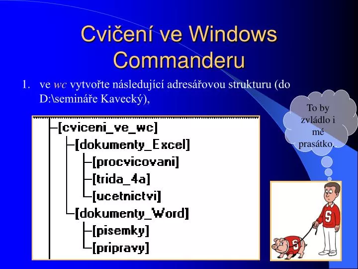 cvi en ve windows commanderu