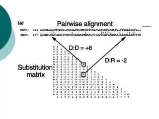 Manual alignment