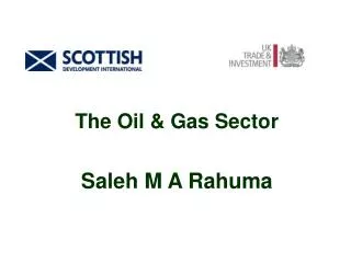 The Oil &amp; Gas Sector Saleh M A Rahuma