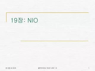 19 nio