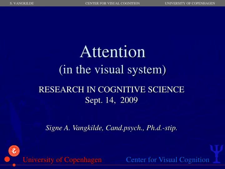 attention in the visual system