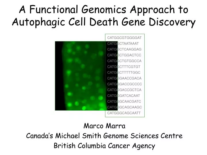 a functional genomics approach to autophagic cell death gene discovery