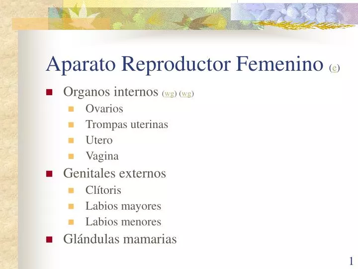aparato reproductor femenino e