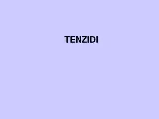 TENZIDI