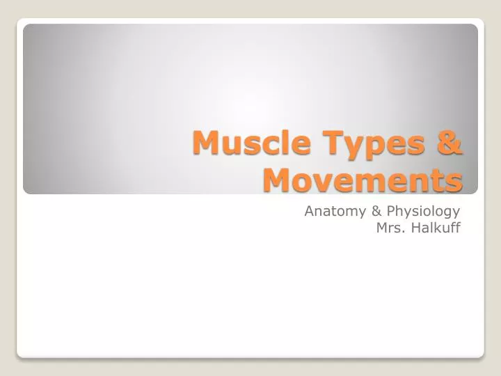 muscle types movements