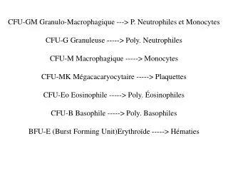 CFU-GM Granulo-Macrophagique ---&gt; P. Neutrophiles et Monocytes
