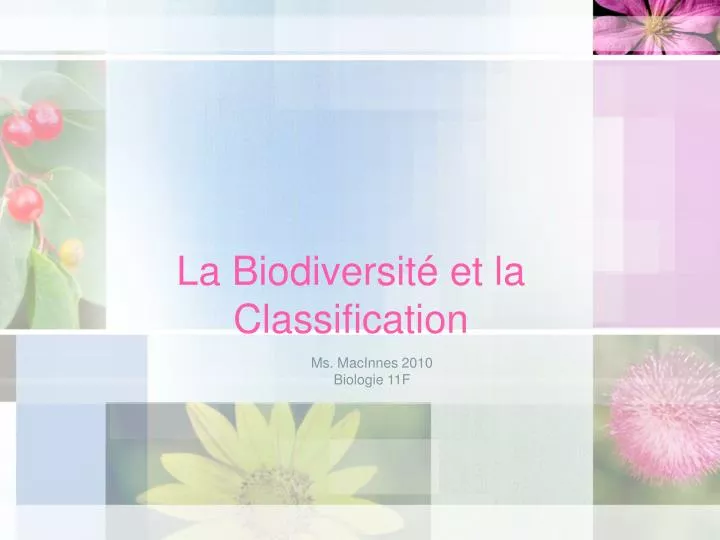 la biodiversit et la classification