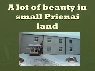 A lot of beauty in small Prienai land