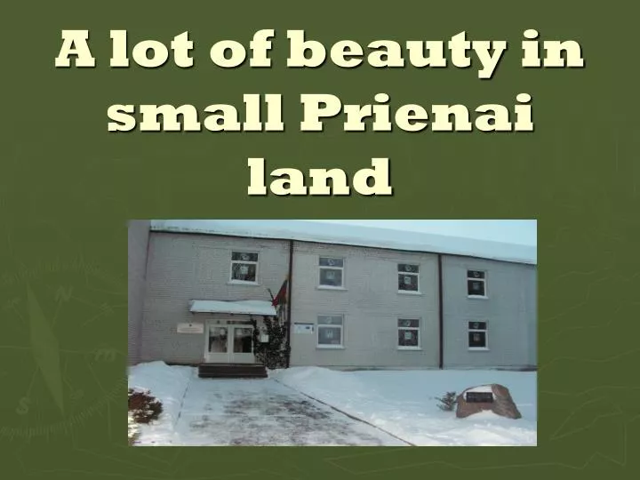 a lot of beauty in small prienai land