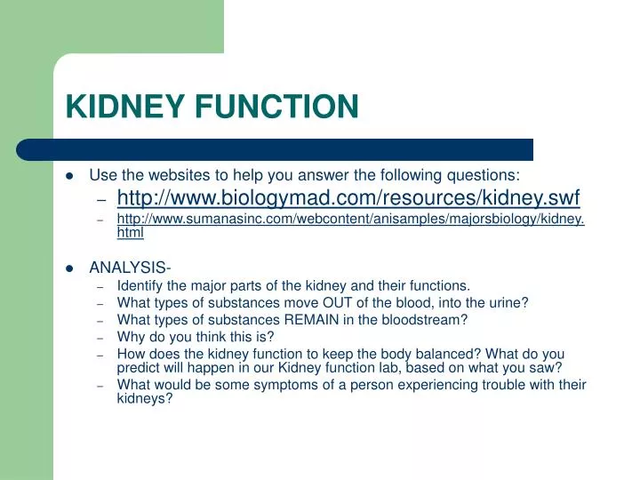 kidney function