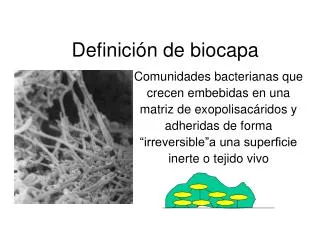 definici n de biocapa