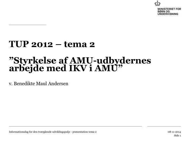 tup 2012 tema 2