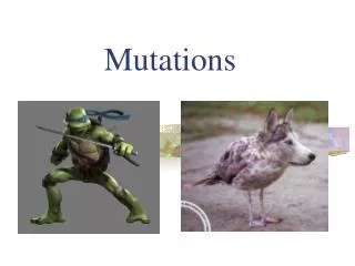 Mutations