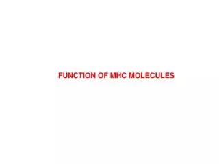 FUNCTION OF MHC MOLECULES