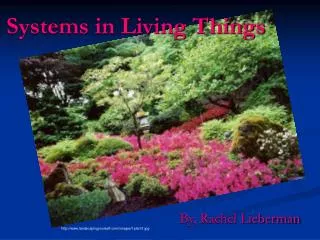 Systems in Living Things