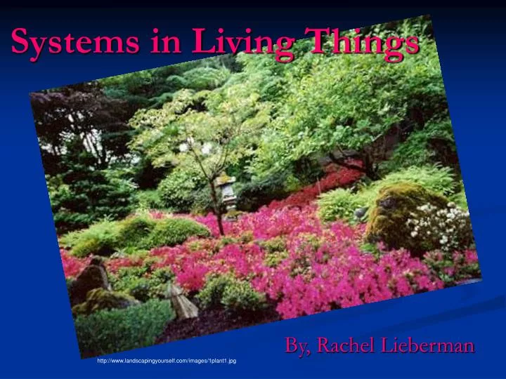 systems in living things