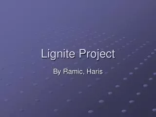 Lignite Project