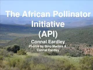 The African Pollinator Initiative (API) Connal Eardley Photos by Dino Martins &amp; Connal Eardley