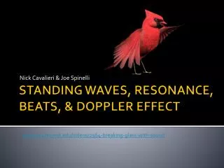 STANDING WAVES, RESONANCE, BEATS, &amp; DOPPLER EFFECT
