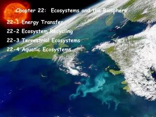 Chapter 22: Ecosystems and the Biosphere