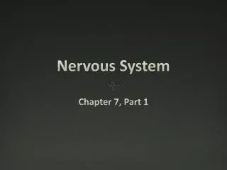 Nervous System