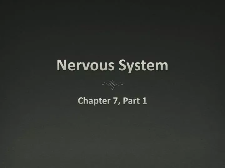 nervous system