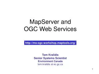 MapServer and OGC Web Services