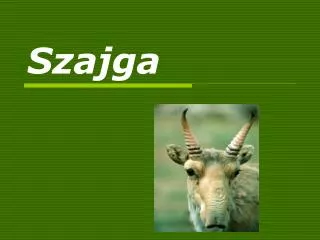 szajga