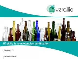 E 2 skills &amp; competencies certification