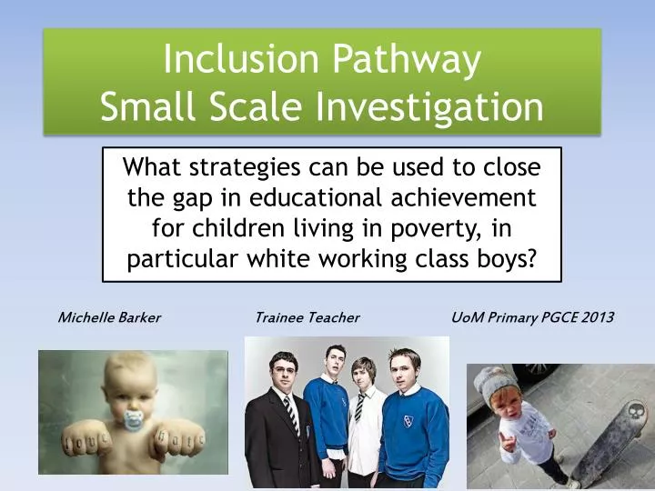 inclusion pathway small scale investigation