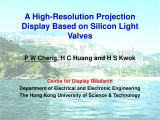 A High-Resolution Projection Display Based on Silicon Light Valves
