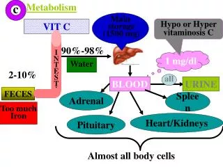 Metabolism