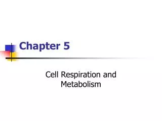 chapter 5