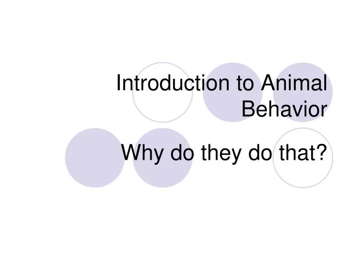 introduction to animal behavior