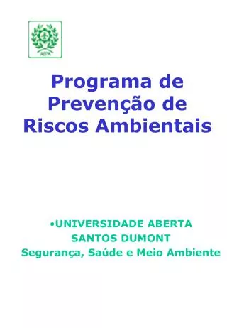 programa de preven o de riscos ambientais