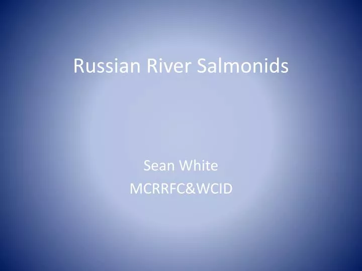 russian river salmonids