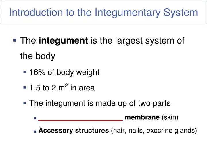 introduction to the integumentary system
