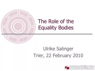 The Role of the Equality Bodies