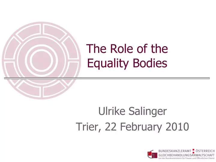 the role of the equality bodies
