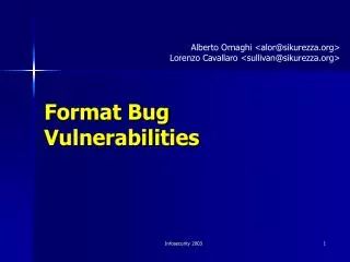 format bug vulnerabilities